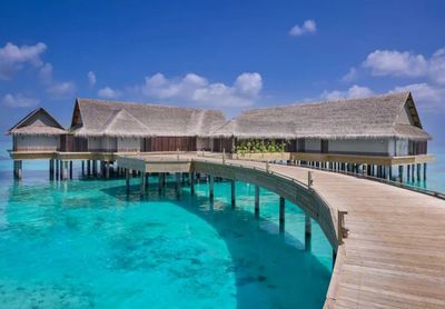 携程上线近700条出境团队游产品，热点目的地分析与行业展望